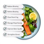 Perimenopause Relief Book 2 Wellness for Midlife Women HealthWise-0